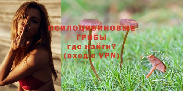 mix Белокуриха